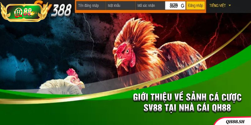 Sân chơi game ăn thưởng uy tín SV388